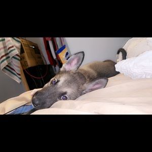 Meet your Posher, Hannah